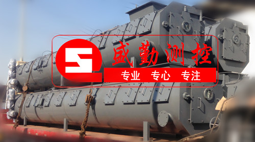 耐壓式稱重給煤機專用于大型電廠和工業(yè)鍋爐的連